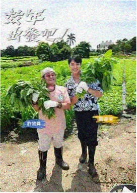 一起去爬山 天天看影院户外综艺